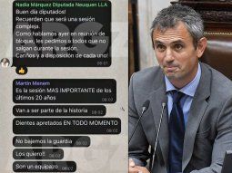 menem dice que sus audios son ia, pero pagano salio al cruce: patas cortas... menem dice que sus audios son ia, pero pagano salio al cruce: patas cortas...