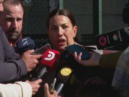 La abogada de Alberto Fernández La abogada de Alberto Fernández