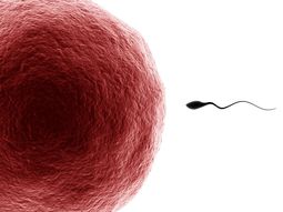 Medicina reproductiva: todo sobre sus últimos avances