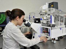 ciencia realizo una adjudicacion de subsidios ciencia realizo una adjudicacion de subsidios