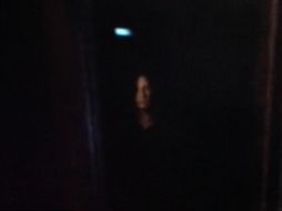 Captura del supuesto espectro grabado por el Fantastic Daily