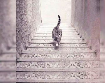 El test viral que revelará secretos de tu personalidad&nbsp;