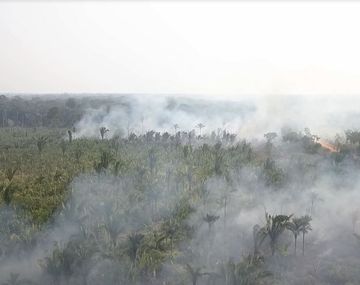 El Amazonia arde y el humo llega a la Argentina