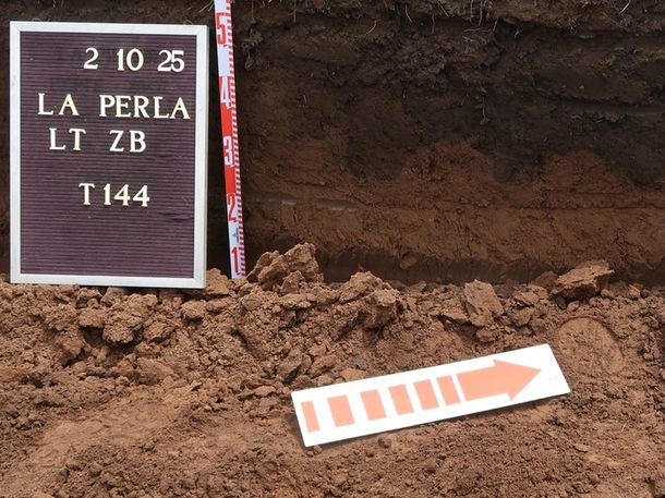 Confirmaron la identidad de cuatro de los 11 desaparecidos hallados en La Perla