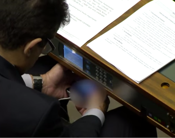 Descubren a un diputado viendo un video porno en plena sesión