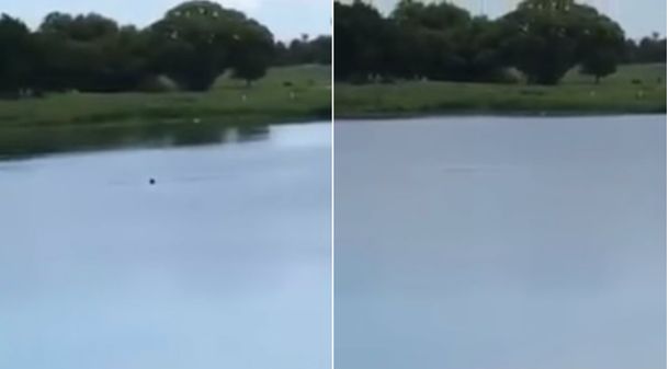 Le gritaron y lo insultaron