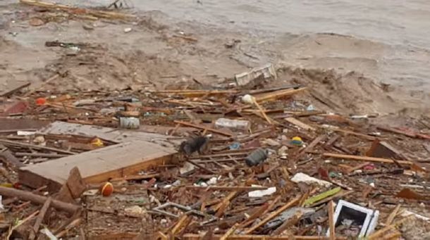 Conmovedor: video muestra cómo un perro surge de los escombros que dejó un alud