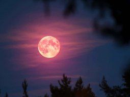 Luna Rosa de abril: cuándo y dónde ver el fenómeno en Argentina