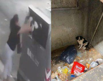 Filmaron a una mujer tirando a su perro en el contenedor de basura en Villa Luro