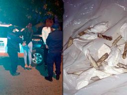 detuvieron a dos travestis que vendian droga y la trataron de esconder tras un arbol detuvieron a dos travestis que vendian droga y la trataron de esconder tras un arbol