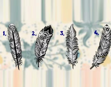 Test viral: descubrí tu misión en la vida según la pluma que elijas