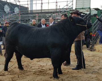 Mbappé en su llegada al predio (foto: @LaRural_BsAs)
