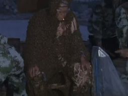 soporto mas de un millon de abejas soporto mas de un millon de abejas