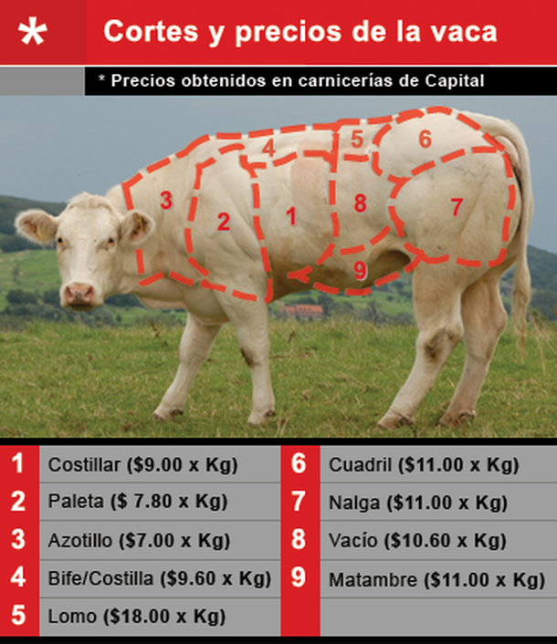 Cortes-vacunos3