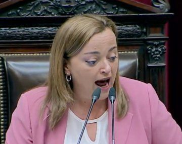 Cecilia Moreau cruzó a Fernando Iglesias tras ser insultada: Sos un macho de vitrina