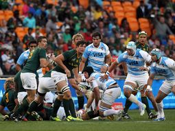 de paseo: los pumas sufrieron doloroso traspie en sudafrica de paseo: los pumas sufrieron doloroso traspie en sudafrica