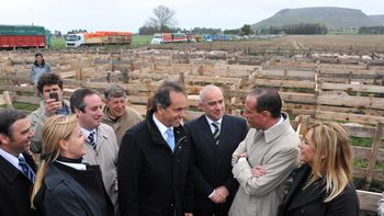 fomentan la actividad porcina a productores bonaerenses fomentan la actividad porcina a productores bonaerenses