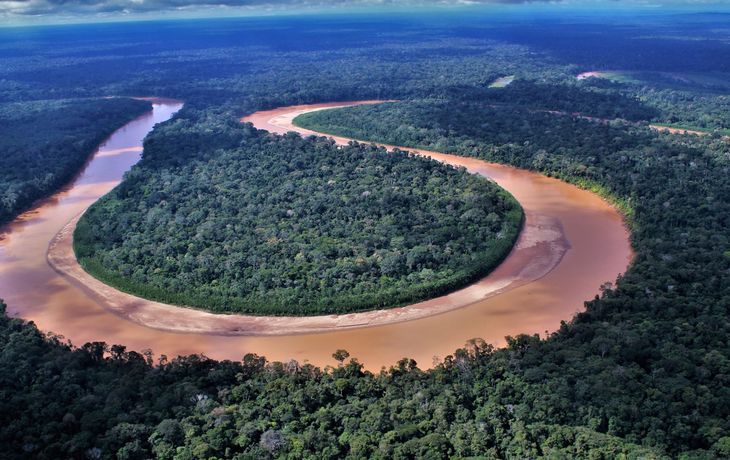 Brasil sigue arrasando la Amazonia: en un año, creció 60% la deforestación