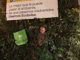 Sergio Bergman se disfrazó de árbol Sergio Bergman se disfrazó de árbol