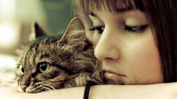 Una amenaza encubierta Una amenaza encubierta