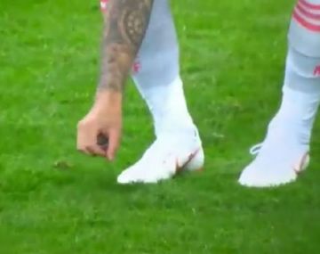 Pura ternura: Isco le salvó la vida a un pajarito en pleno partido de España con Irán