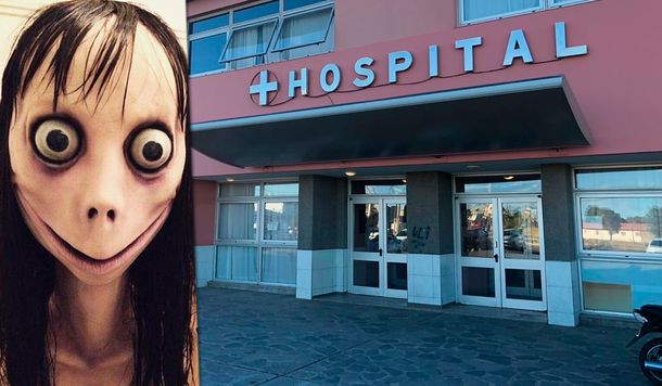 Santa Cruz: un chico de 13 años se quitó la vida y creen que fue instigado por Momo