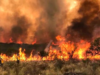 El gobernador Marín Llaryora anunció un plan de remediación frente los incendios en Córdoba
