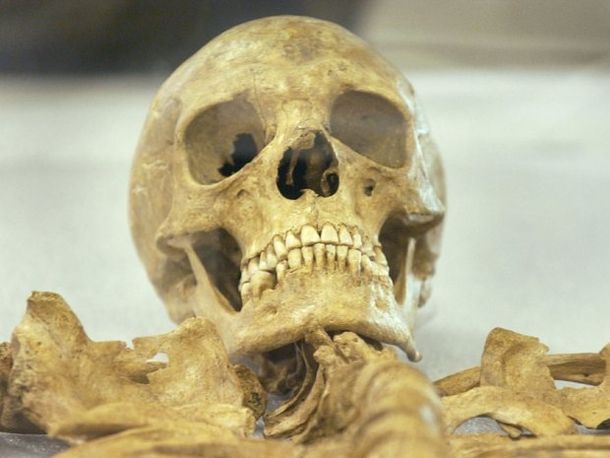 El cráneo de la niña que fue comida