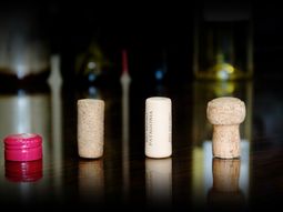 vinos con tapa a rosca en vez de corcho: ¿sacrilegio o evolucion? vinos con tapa a rosca en vez de corcho: ¿sacrilegio o evolucion?