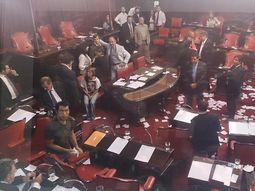 escandalo en el senado por huevazos escandalo en el senado por huevazos