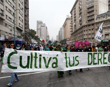 ¿Por qué legalizaron la marihuana?