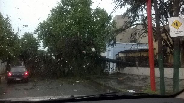 Mirá las imágenes y los videos del fuerte temporal que azotó a la provincia de Buenos Aires