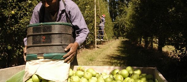Advierten que economías regionales pierden rentabilidad y agravan su crisis
