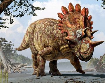 Descubren un nuevo dinosaurio lleno de cuernos