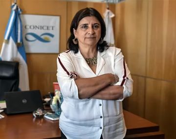 La titular del Conicet le respondió a Javier Milei tras sus polémicos dichos