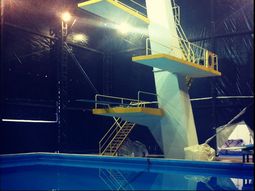 no paso la prueba fisica para celebrity splash no paso la prueba fisica para celebrity splash