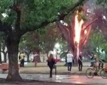 Video: un árbol se prendió fuego en Lincoln tras la caída de un rayo