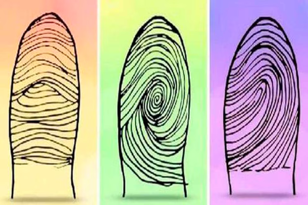 El test viral que define rasgos interesantes según la huella que sea similar a la tuya