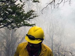 El fuego ya arrasó diez mil hectáreas de bosque