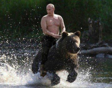 Los imperdibles memes por el oso amaestrado de Putin en TN