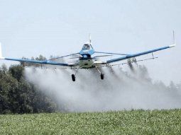 Un productor de tomates, cerca de ir a juicio por una muerte por agrotóxicos