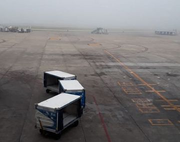 Foto @Williamina2017