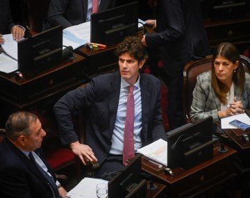 Diputado Martín Lousteau