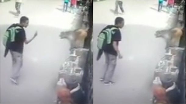Así reacciona un mono cuando un muchacho le muestra el dedo mayor