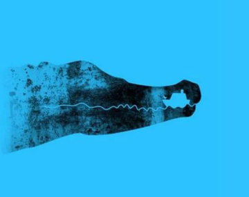 El test viral que definirá tu calidad como persona según lo primero que veas