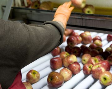 Brasil reabrió el comercio de frutas con el país y se alivia el conflicto