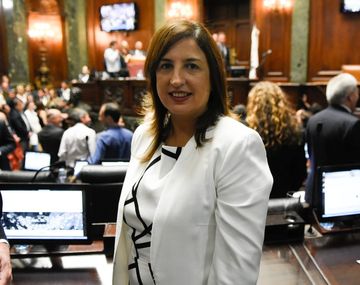 Iron Mountain: legisladores del Frente de Todos exigen justicia por las víctimas de la tragedia