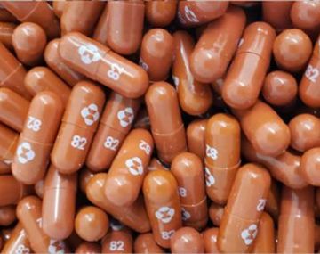 Foto cortesía Ridgeback Biotherapeutics