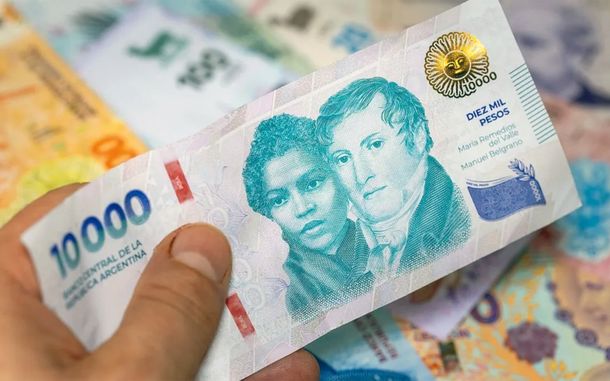 Cae el crédito en pesos.