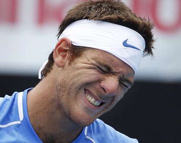 Confirman que Del Potro no jugará: lo reemplaza Berlocq